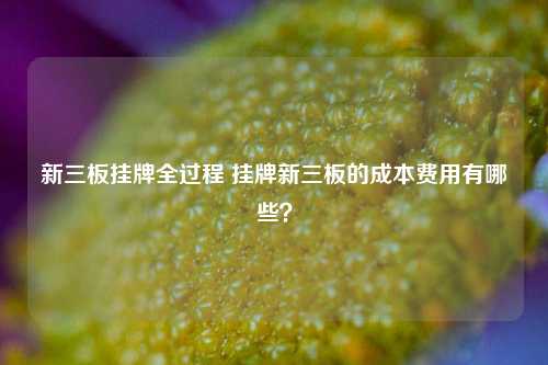 新三板挂牌全过程 挂牌新三板的成本费用有哪些？