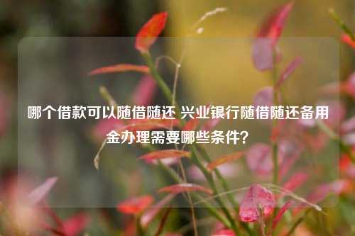 哪个借款可以随借随还 兴业银行随借随还备用金办理需要哪些条件？