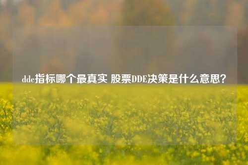 dde指标哪个最真实 股票DDE决策是什么意思？