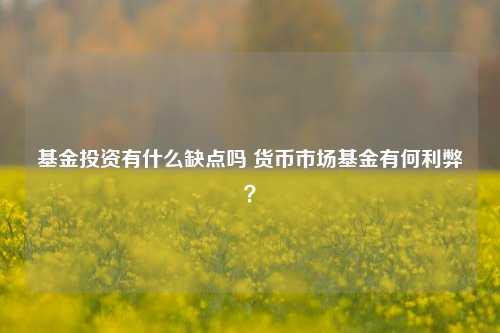 基金投资有什么缺点吗 货币市场基金有何利弊？