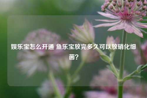 娱乐宝怎么开通 鱼乐宝放完多久可以放硝化细菌？