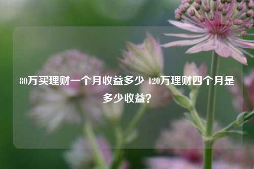 80万买理财一个月收益多少 120万理财四个月是多少收益？