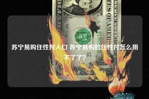 苏宁易购任性付入口 苏宁易购的任性付怎么用不了了？