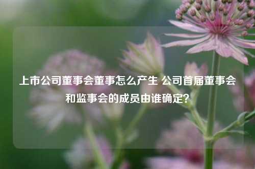 上市公司董事会董事怎么产生 公司首届董事会和监事会的成员由谁确定？