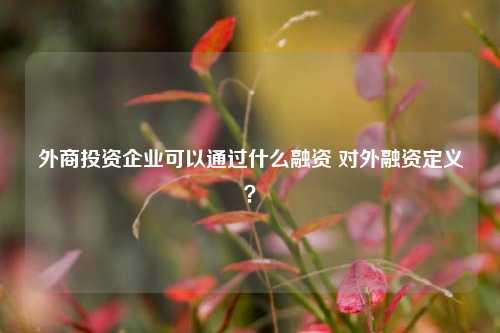 外商投资企业可以通过什么融资 对外融资定义？