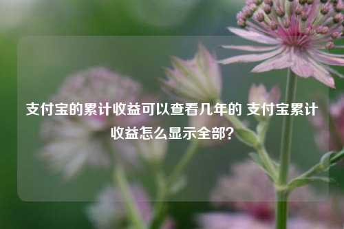 支付宝的累计收益可以查看几年的 支付宝累计收益怎么显示全部？