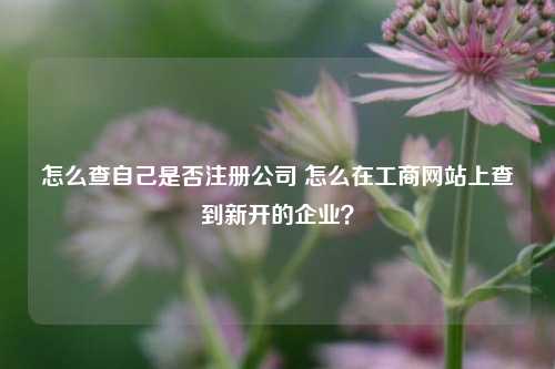 怎么查自己是否注册公司 怎么在工商网站上查到新开的企业？