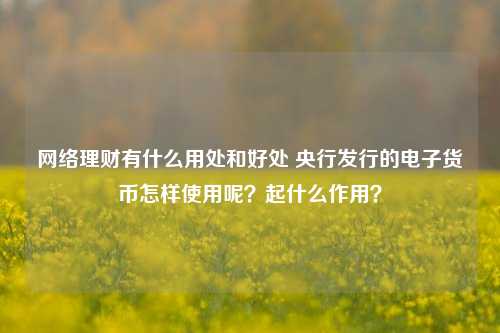 网络理财有什么用处和好处 央行发行的电子货币怎样使用呢？起什么作用？