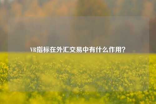 VR指标在外汇交易中有什么作用？