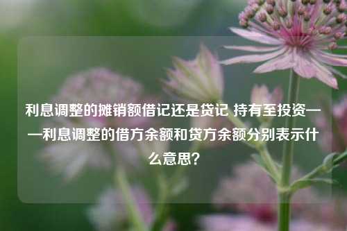 利息调整的摊销额借记还是贷记 持有至投资——利息调整的借方余额和贷方余额分别表示什么意思？