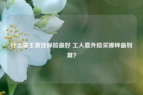 什么雇主责任保险最好 工人意外险买哪种最划算？