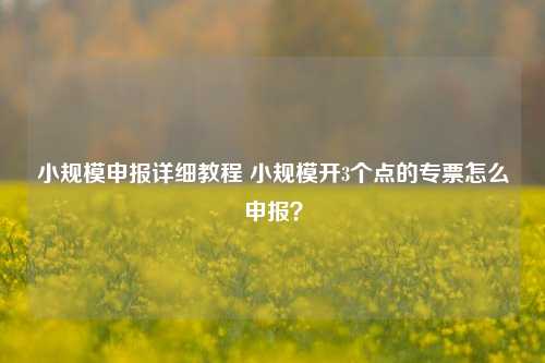 小规模申报详细教程 小规模开3个点的专票怎么申报？