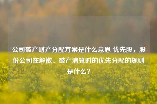 公司破产财产分配方案是什么意思 优先股，股份公司在解散、破产清算时的优先分配的规则是什么？