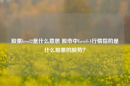 股票level2是什么意思 股市中Level-1行情指的是什么股票的股势？