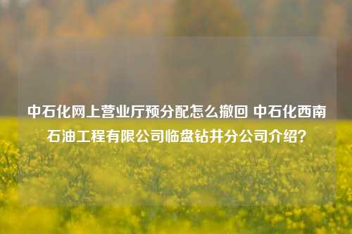 中石化网上营业厅预分配怎么撤回 中石化西南石油工程有限公司临盘钻井分公司介绍？