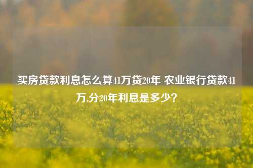 买房贷款利息怎么算41万贷20年 农业银行贷款41万,分20年利息是多少？