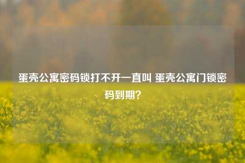 蛋壳公寓密码锁打不开一直叫 蛋壳公寓门锁密码到期？