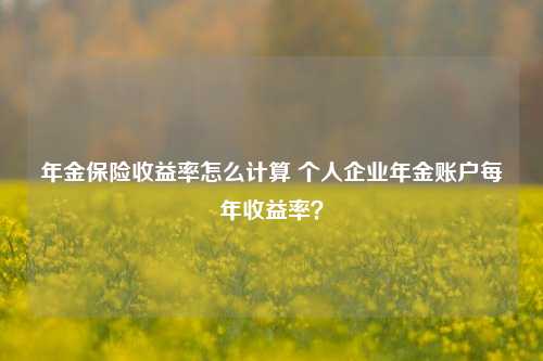 年金保险收益率怎么计算 个人企业年金账户每年收益率？