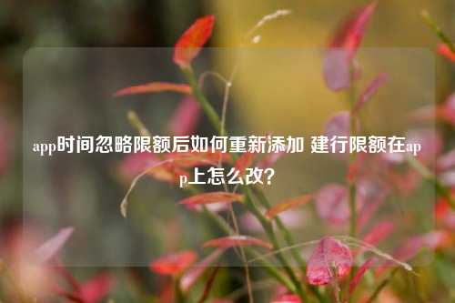 app时间忽略限额后如何重新添加 建行限额在app上怎么改？