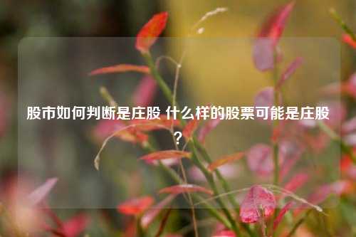 股市如何判断是庄股 什么样的股票可能是庄股？