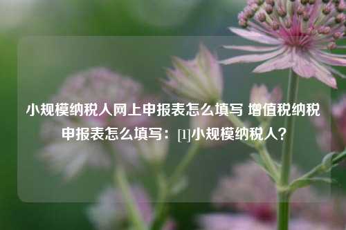 小规模纳税人网上申报表怎么填写 增值税纳税申报表怎么填写：[1]小规模纳税人？