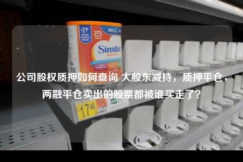 公司股权质押如何查询 大股东减持，质押平仓，两融平仓卖出的股票都被谁买走了？